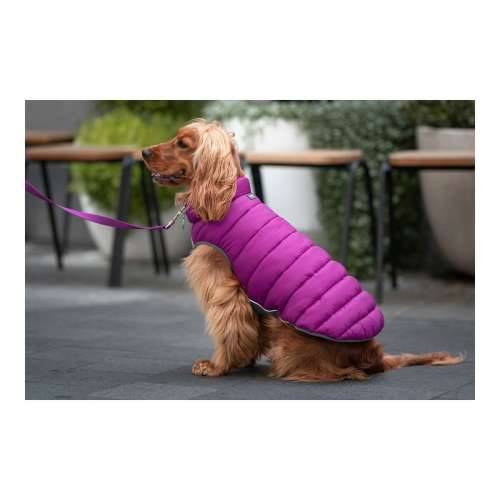 Kaput za pse Red Dingo Puffer 50 cm Roza/Ljubičasta Cijena