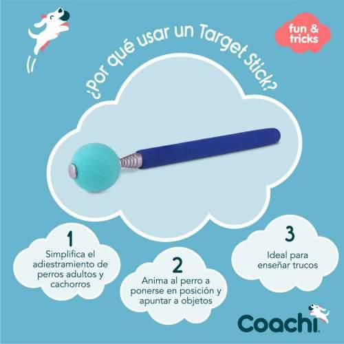 Training toy Coachi Stick Plava Cijena
