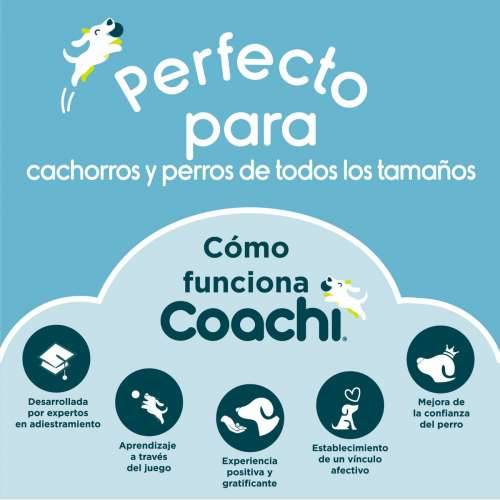 Training toy Coachi Bells Plava Cijena