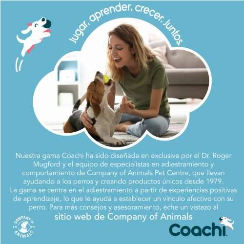 Training toy Coachi Plava Cijena