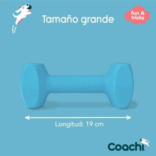 Bučica Coachi TRAINING DUMBBELL Plava L Plastika Cijena