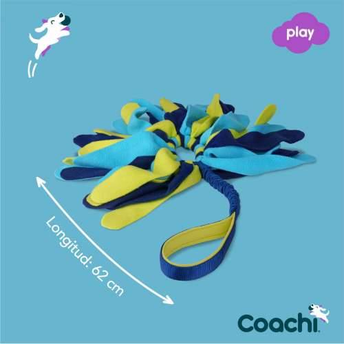 Training toy Coachi TUGGI SPIDER Plava Cijena