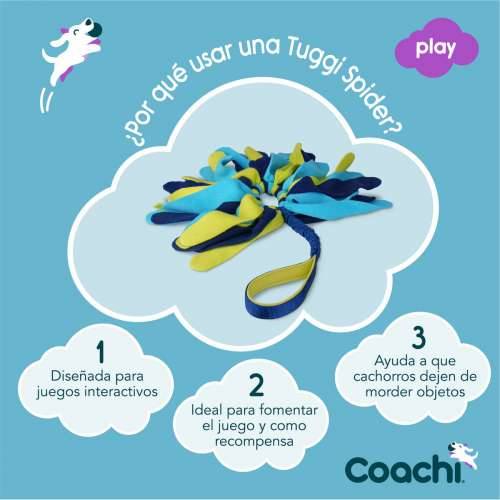 Training toy Coachi TUGGI SPIDER Plava Cijena