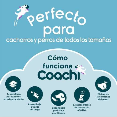 Training toy Coachi TUGGI SPIDER Plava Cijena
