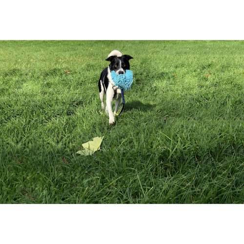 Training toy Coachi TUGGI HIDE Plava Cijena