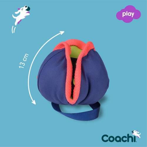 Training toy Coachi CHASE & TREAT Plava Cijena