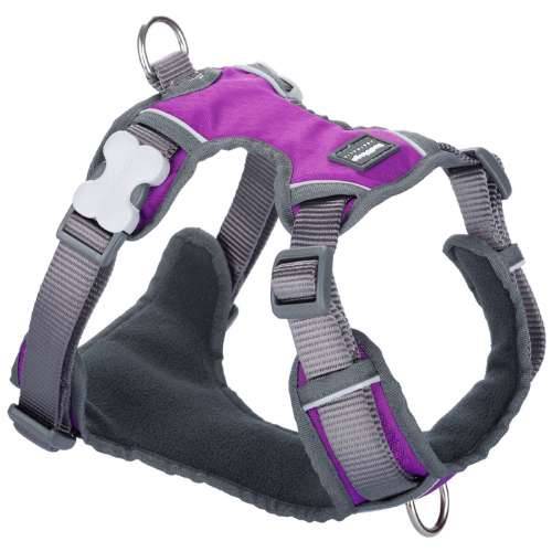 Orma za pse Red Dingo Dingo 47-73 cm 56-80 cm Vijoličasta L Cijena