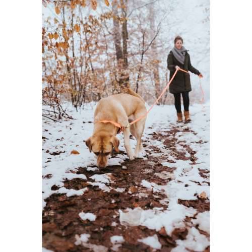Ogrlica za pse Hunter Convenience 53-61 cm L/XL Oranžna Cijena