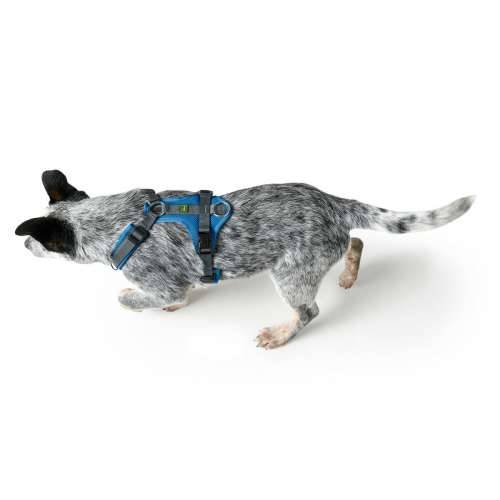Orma za pse Hunter Maldon Up Plava 46-82 cm S/M Cijena