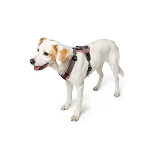 Orma za pse Hunter Maldon Up Roza 38-62 cm Cijena