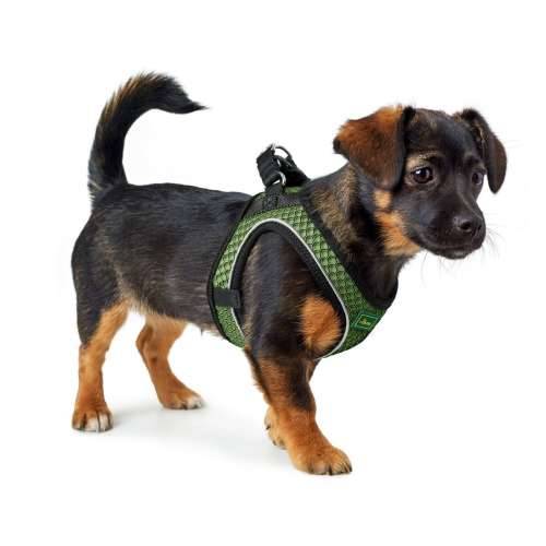 Orma za pse Hunter Comfort Zelena S/M 48-55 cm Cijena