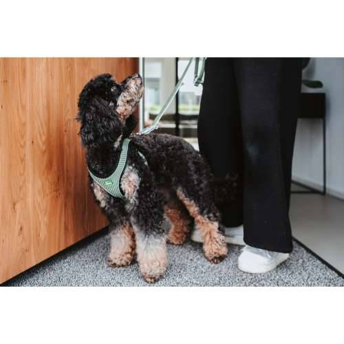 Orma za pse Hunter Comfort Zelena M/L 58-63 cm Cijena