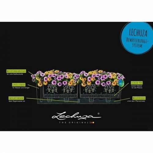 Tegla za samozalijevanjem Lechuza Srebrna 79 x 19 x 19 cm Pravokutno Cijena