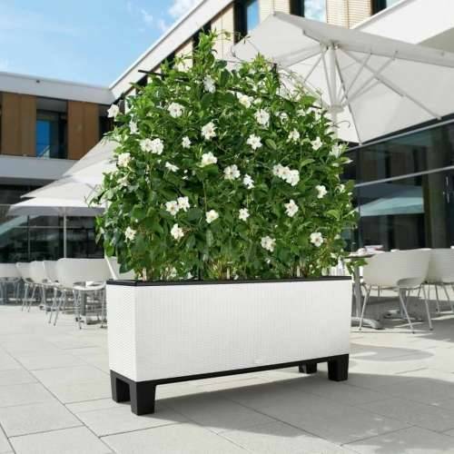 Posuda Lechuza 32 x 100 x 34 cm Bijela Plastika Pravokutno Cijena