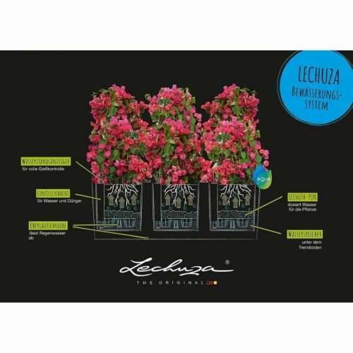 Posuda Lechuza 32 x 100 x 34 cm Bijela Plastika Pravokutno Cijena