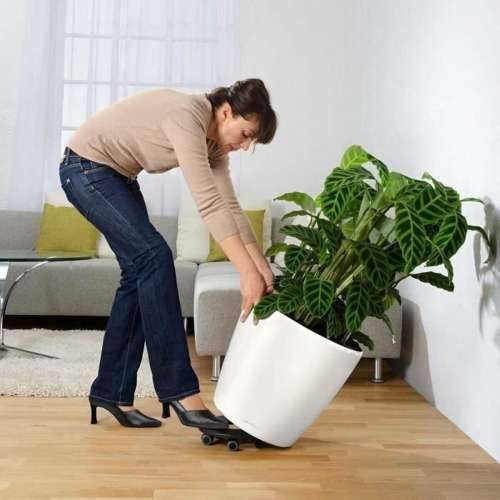Tegla za samozalijevanjem Lechuza Bijela Ø 49,5 x 46,5 cm Plastika Cijena