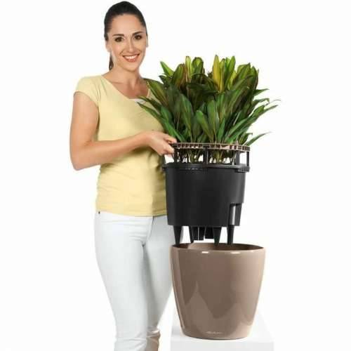 Tegla za samozalijevanjem Lechuza Bijela Ø 49,5 x 46,5 cm Plastika Cijena