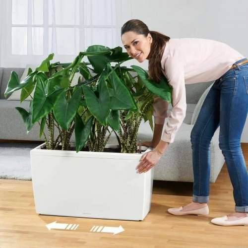 Posuda Lechuza 75 x 30 x 43 cm Plastika Pravokutno Cijena