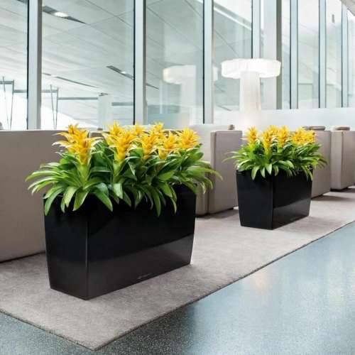 Posuda Lechuza 75 x 30 x 43 cm Plastika Pravokutno Cijena