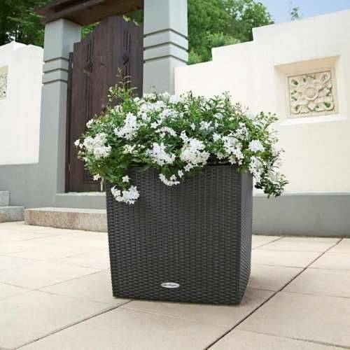 Posuda Lechuza 50 x 50 x 50 cm Plastika Cijena