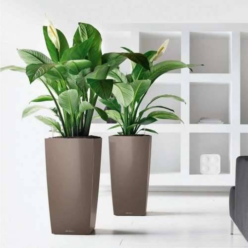 Posuda Lechuza 50 x 50 x 95 cm Plastika Pravokutno Cijena