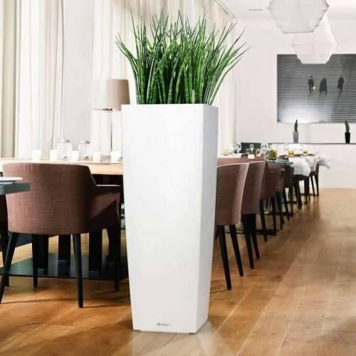 Tegla za biljke Lechuza 40 x 40 x 105 cm Plastika Pravokutno Cijena