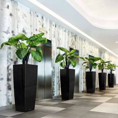 Posuda Lechuza 40 x 40 x 105 cm Plastika Pravokutno Cijena