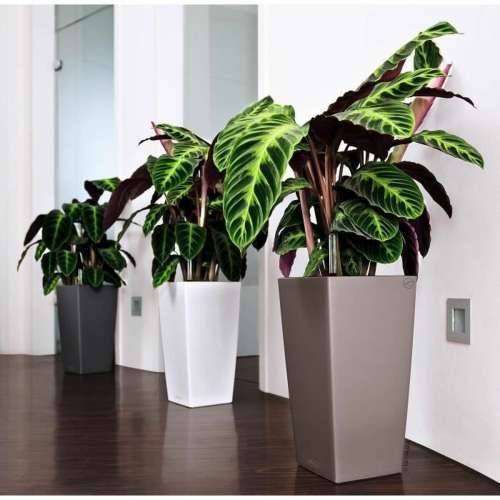 Posuda Lechuza 40 x 40 x 75 cm Plastika Kvadratno Cijena