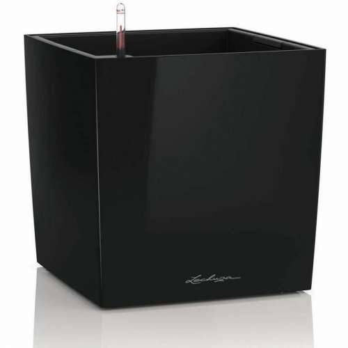 Posuda Lechuza 36 x 36 x 40 cm Crna polipropilen Plastika Cijena