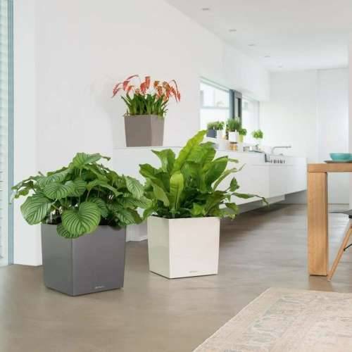 Posuda Lechuza 36 x 36 x 40 cm Crna polipropilen Plastika Cijena