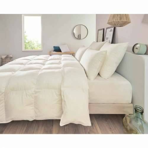 Jastuk Toison D’or Bijela 40 x 40 x 10 cm Cijena