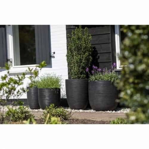 Tegla za biljke Capi Europe Crna Plastika Ø 35 cm 35 x 35 x 34 cm Cijena