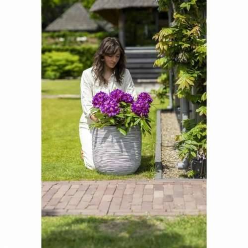 Tegla za biljke Capi Europe Plastika 35 x 35 x 34 cm Cijena