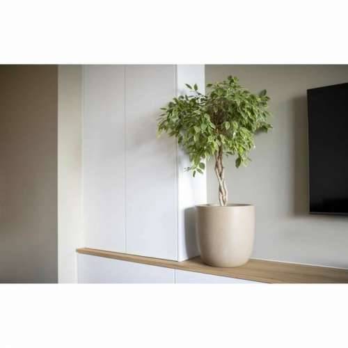 Tegla za biljke Capi Europe Plastika Ø 35 cm 35 x 35 x 34 cm Cijena