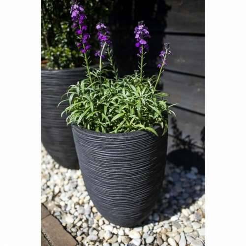 Tegla za biljke Capi Europe Crna Plastika Okruglo 34 x 34 x 46 cm Cijena