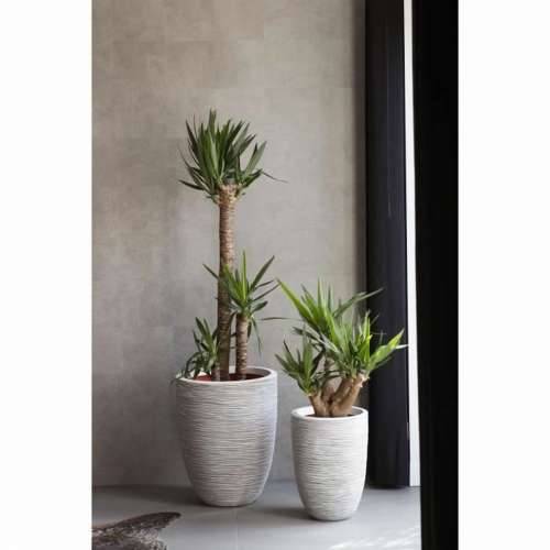 Tegla za biljke Capi Europe Bjelokost Plastika 34 x 34 x 36 cm Cijena