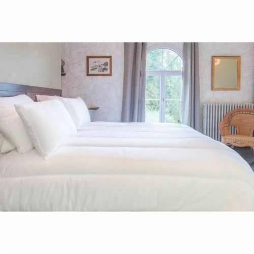 Nordijsko punjenje Blanreve 350 g/m² 140 x 200 cm Cijena
