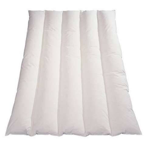 Poplun Blanreve Lagano Mikrovlakna Bijela 200 g/m² 240 x 260 cm Cijena