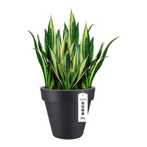 Posuda Elho 8403604042500 Antracitna Ø 40 cm Cijena