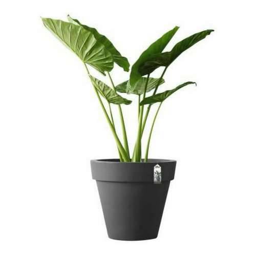 Posuda Elho 8403604042500 Antracitna Ø 40 cm Cijena