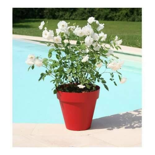 Posuda Riviera 414056 Ø 39,2 x 35,8 cm Crvena Cijena
