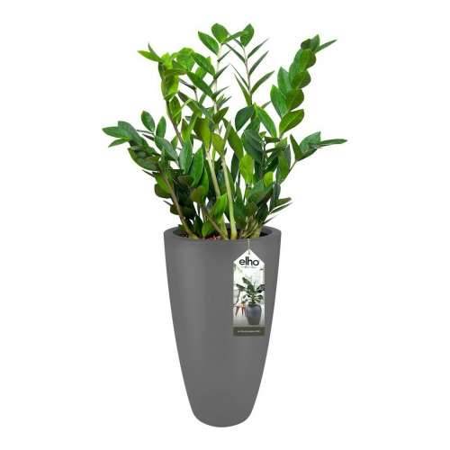 Posuda Elho 8885373042500 Antracitna Plastika Okruglo Cijena