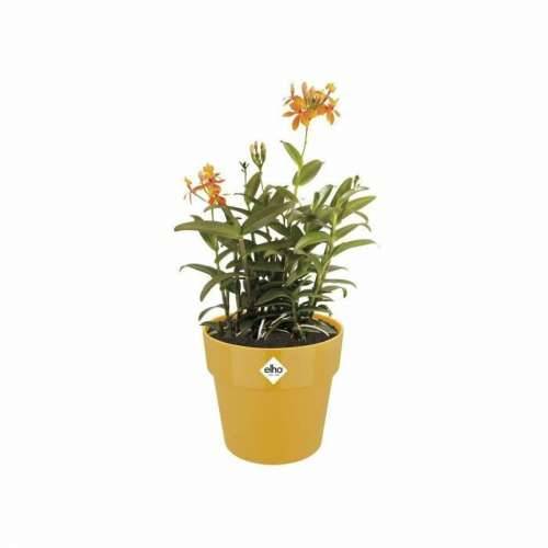 Posuda Elho 9262302511800 Oker Plastika Okruglo Ø 24,7 x 23,2 cm Cijena