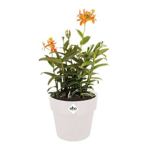 Posuda Elho Bijela Plastika Okruglo Ø 35 cm Ø 35 x 32 cm Cijena