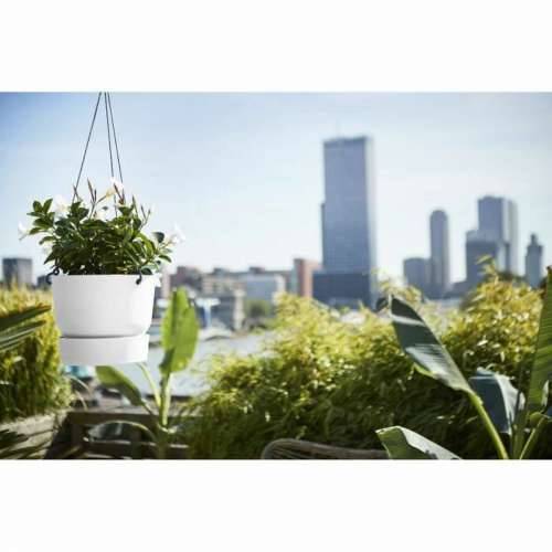 Viseća sadilica Elho Greenville Bijela Plastika Ø 23,9 x 20,3 cm Cijena