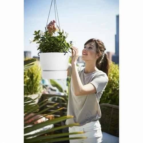 Viseća sadilica Elho Greenville Bijela Plastika Ø 23,9 x 20,3 cm Cijena