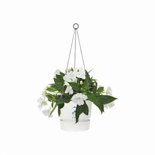 Viseća sadilica Elho Greenville Bijela Plastika Ø 23,9 x 20,3 cm Cijena