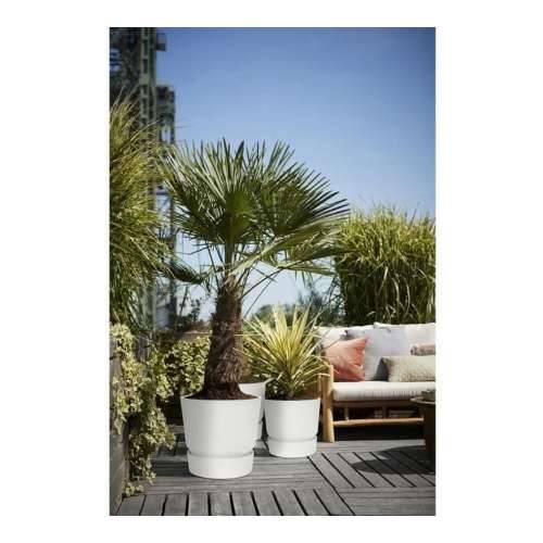 Posuda Elho Greenville Okruglo Bijela Plastika (Ø 29,5 x 27,8 cm) Cijena