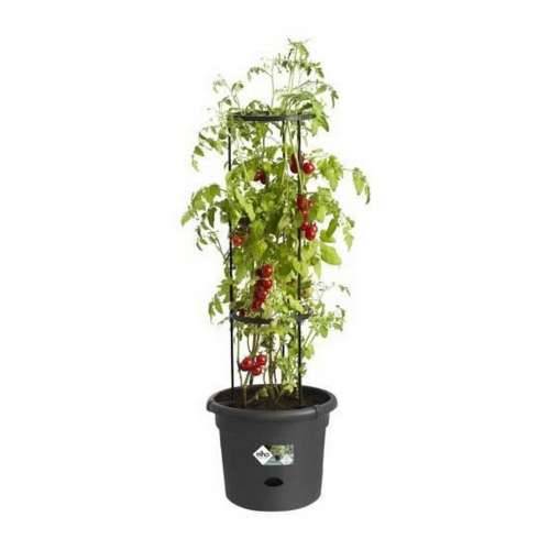 Posuda Elho Basics Tomato Crna (Ø 33 cm) Cijena