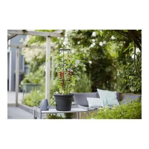 Posuda Elho Basics Tomato Crna (Ø 33 cm) Cijena